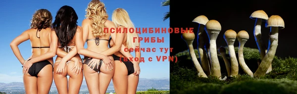 ГАЛЛЮЦИНОГЕННЫЕ ГРИБЫ Вяземский