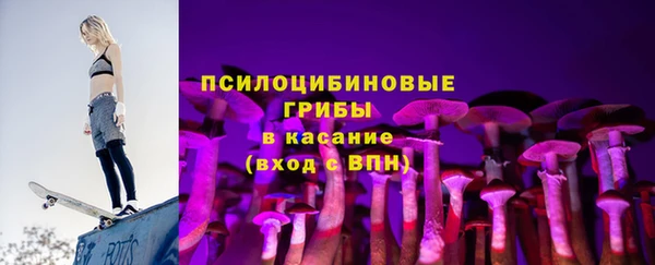 ГАЛЛЮЦИНОГЕННЫЕ ГРИБЫ Вяземский