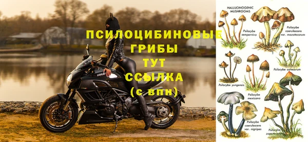 MESCALINE Вязьма