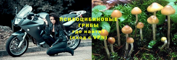 ГАЛЛЮЦИНОГЕННЫЕ ГРИБЫ Вяземский