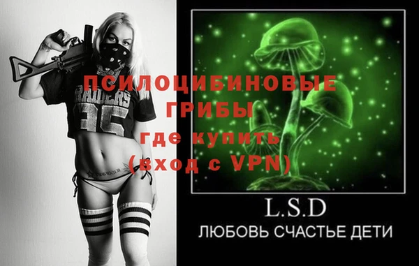 ГАЛЛЮЦИНОГЕННЫЕ ГРИБЫ Вяземский
